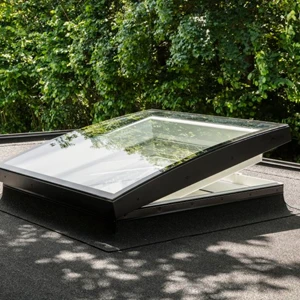 Flat Roof Windows