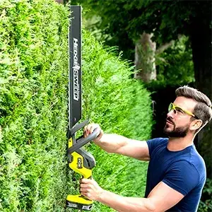 Hedge Trimmers