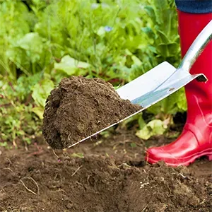 Shovels