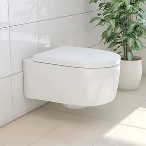 Toilet Seats