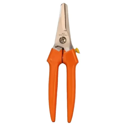 Scissor for Fruits Ecef Inox Large