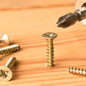 Screws