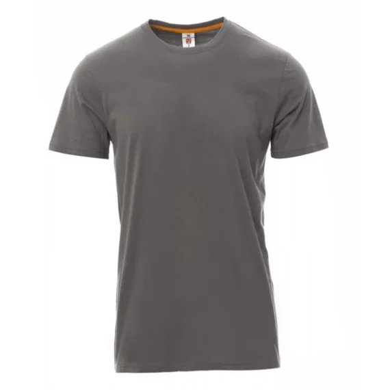 T-shirt Payperwear Grey (Choose Size)