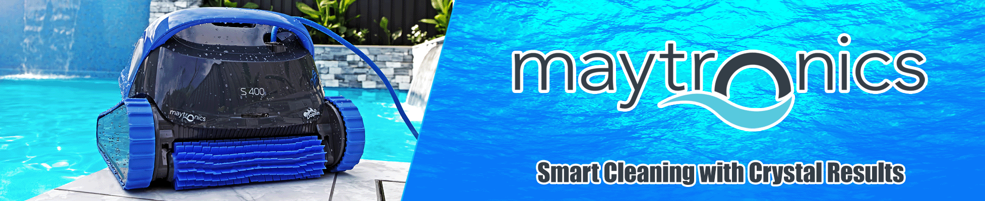 Dolphin Banner