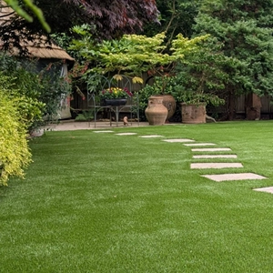 Artificial Grass