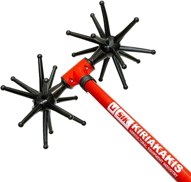 MSR urchin